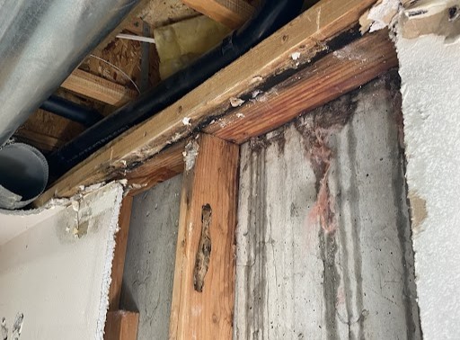 %Imagetitle% | Precision Plumbing &Amp; Heating Cement indoor wall with water stains, exposing a leaking pipe.