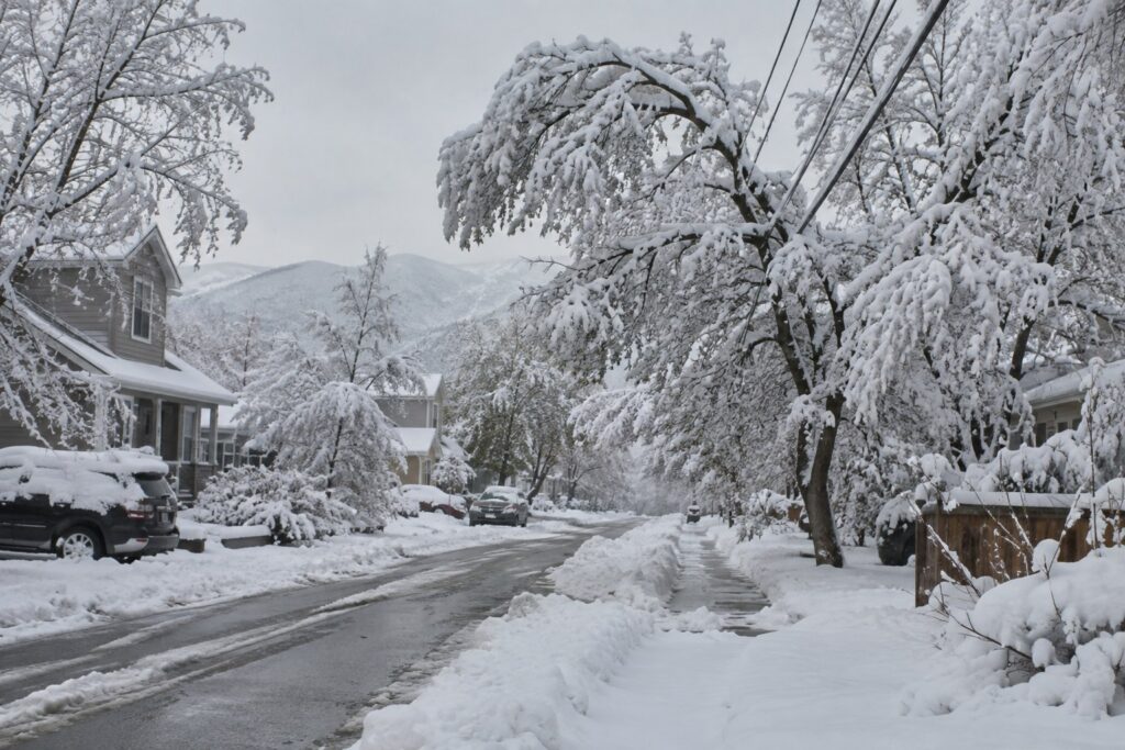 Is a Whole House Generator Worth It for Louisville Homes Before Winter Outages? – illustration 1
