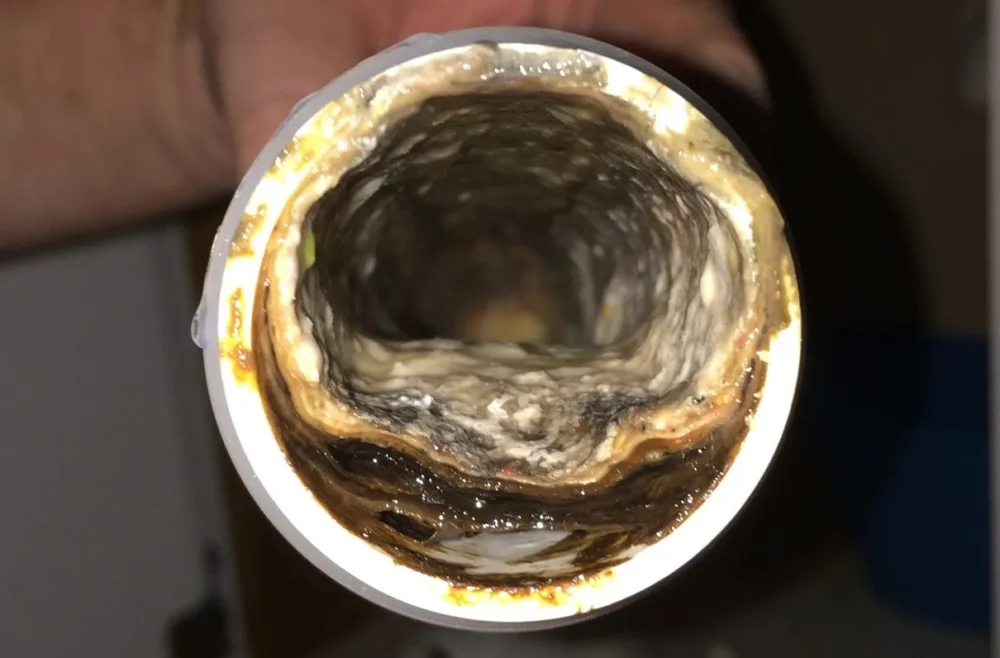 a cross-section view of the inside of a kitchen sink drain with grease, oil, and fat build up